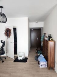 Blk 1C The Pinnacle@Duxton (Bukit Merah), HDB 4 Rooms #502496231